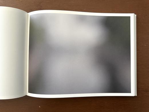 《十八度灰》徐勇最新摄影集 （德国KERBER出版社） 商品图2