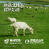 【纯山羊奶】卓牧精选纯羊奶200ml*30盒/提 商品缩略图5