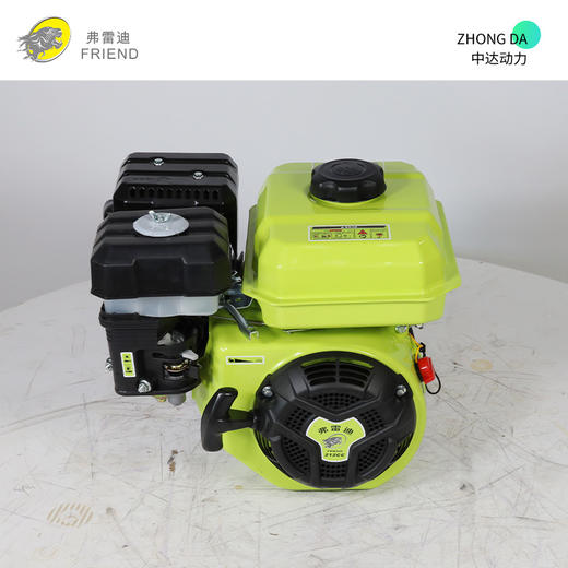 弗雷迪汽油发动机 FLD170F-C 商品图9