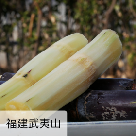 生态武夷山甘蔗  4.5斤/8斤