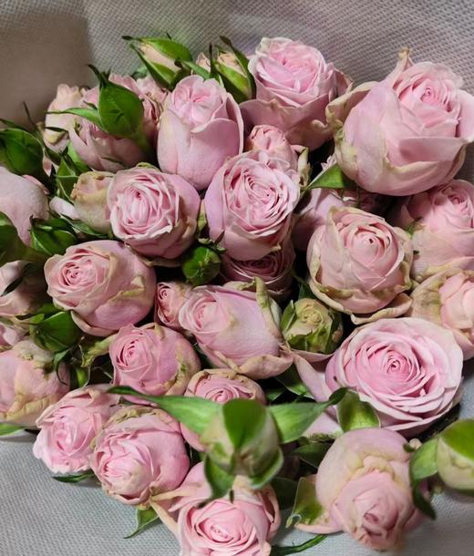 丽江基地 | 可爱女人 商品图0