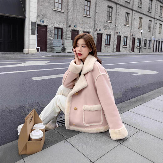 秋冬新款羊羔毛绒加厚保暖外套百搭小个子 皮毛一体立领上衣 商品图2