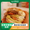 【预售】全麦汉堡面包胚95g*6个 | 7天内发货 | 分享收获烘焙工作室 * Whole Wheat Hamburger Bun 商品缩略图0