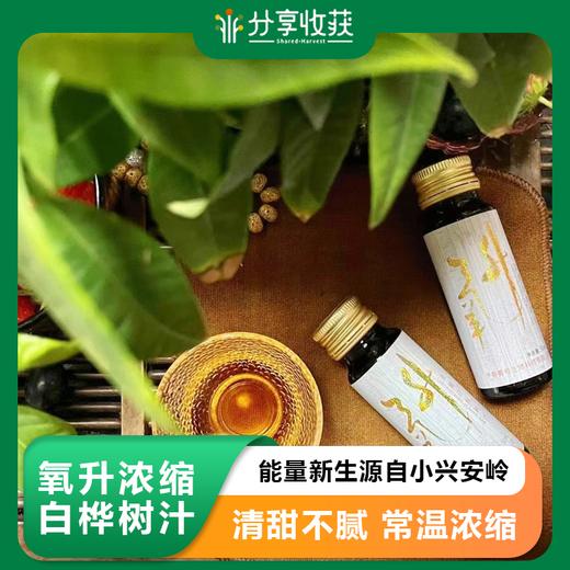 氧升浓缩白桦树汁 | 能量新生源自小兴安岭 | 合作生产 | 基地直发包邮 * Oxygenated concentrated birch juice 商品图0