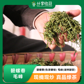 碧螺春(色泽银绿) 毛峰(滋味醇甘) | 公平贸易 | 基地直发 包邮 * Biluochun tea