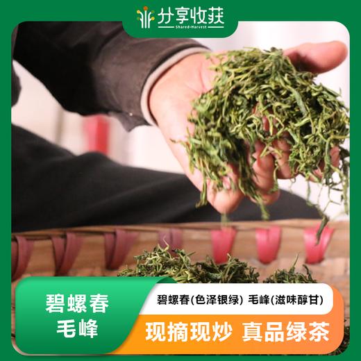 碧螺春(色泽银绿) 毛峰(滋味醇甘) | 公平贸易 | 基地直发 包邮 * Biluochun tea 商品图0