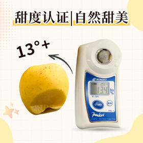 京鲜生 山东黄金维纳斯苹果 雀斑苹果 12-15粒 净重4.6斤 生鲜水果