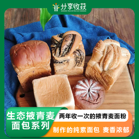 【每单2件起售卖 】生态掖青麦面包系列 | 两年收一次的掖青麦面粉制作的纯素面包  麦香浓郁 ｜合作生产 | 基地直发*Eco-ye green wheat bread