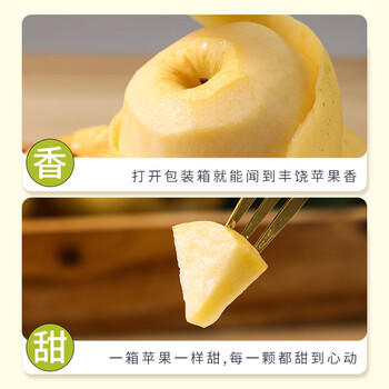 京鲜生 山东黄金维纳斯苹果 雀斑苹果 12-15粒 净重4.6斤 生鲜水果 商品图1