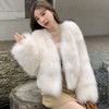 秋冬新款环保狐狸毛皮草外套女小花毛毛大衣年轻时尚短款女装 商品缩略图1