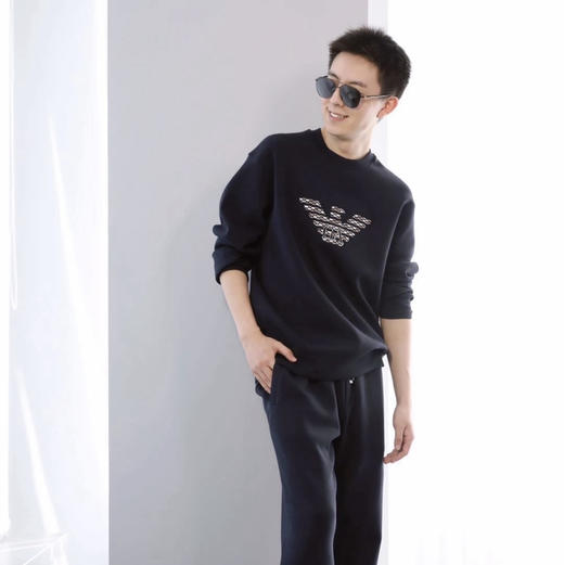 原单正品阿玛尼男士刺绣鹰标圆领卫衣120602 商品图2