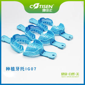 种植牙托IG07