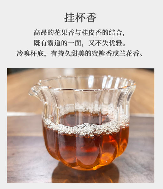 金交椅 武夷肉桂 6泡/约50克 商品图3