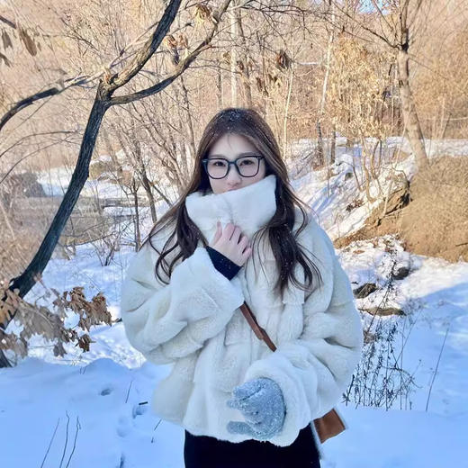 【冬季新款保暖仿水貂绒皮草外套】女羊羔毛立领仿懒兔毛短款大衣潮感 商品图0