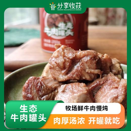 生态牛肉罐头 | 合作生产 | 基地直发包邮*Ecological canned beef 商品图0