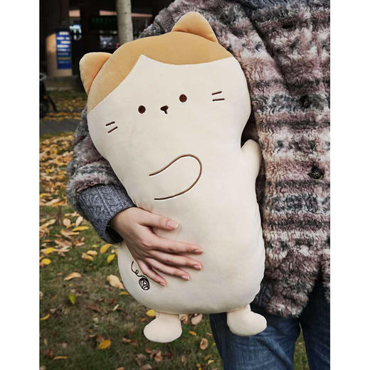 50cm可爱猫咪抱枕-纪念日百货门店同款166546361 商品图1