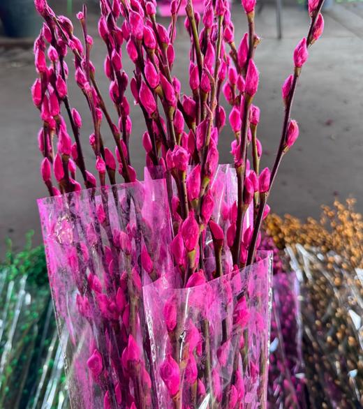 叶材 | 银柳粉色 商品图0