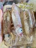 xm❥{新鲜货，灯捕鱿鱼管！！}东山岛招牌王小管鱿鱼 港岛姑娘招牌海鲜，脆嫩弹牙，嚼劲十足！锁鲜活冻顺丰冷链，鲜到家~ 商品缩略图1