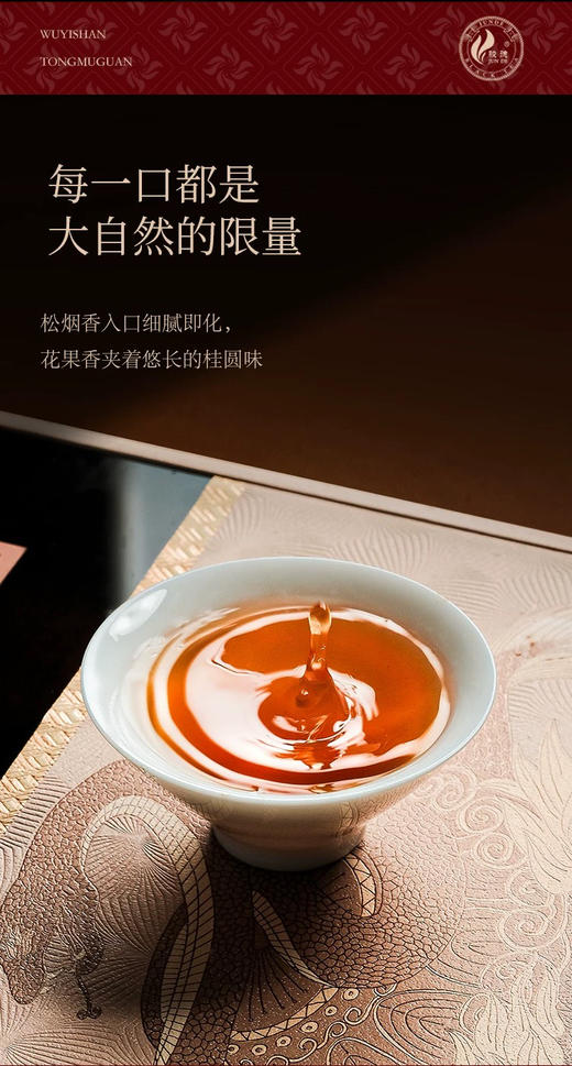 骏德茶业 武夷山红茶茶叶桐木关工匠正山小种100g  商品图2