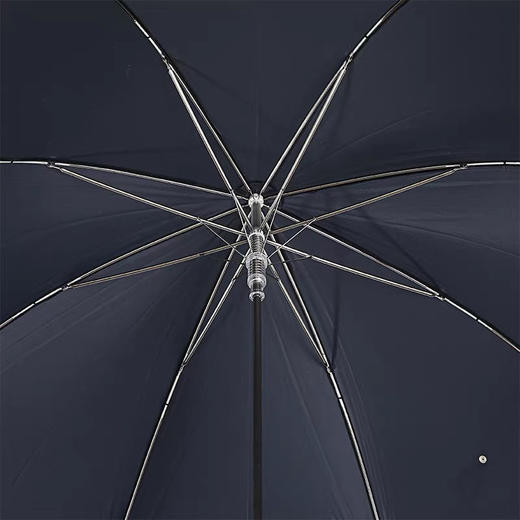 Pasotti意大利手工直柄晴雨伞男士奢华银色马头手柄复古雨伞 商品图3