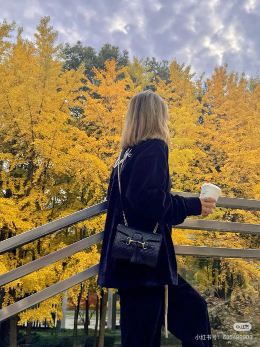 Gucci Emily 流苏 压纹牛皮 链条包 商品图2