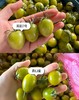 纯正一级青甜2号小柿子高糖番茄千禧贝贝高档商超专用顺丰包邮*2.5kg 商品缩略图7