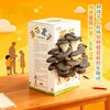 送喷水壶【成活率高生长期短❗️菌香十足营养丰富】儿童种植小盆栽蘑菇盒子养殖盒学生观察绿植盲盒幼儿园科学材料。jb 商品缩略图1