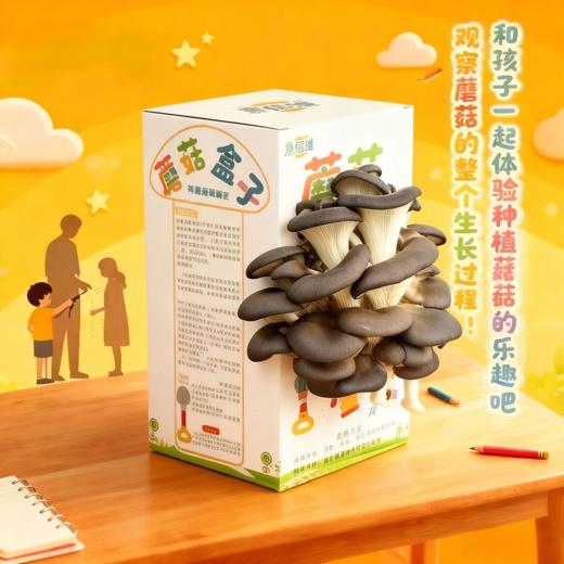 送喷水壶【成活率高生长期短❗️菌香十足营养丰富】儿童种植小盆栽蘑菇盒子养殖盒学生观察绿植盲盒幼儿园科学材料。jb 商品图1