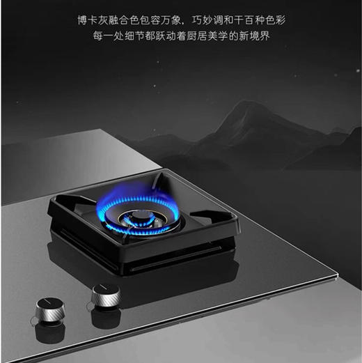 卡萨帝（Casarte）烟灶套装CDQ6UD+CDZ6U9 商品图13