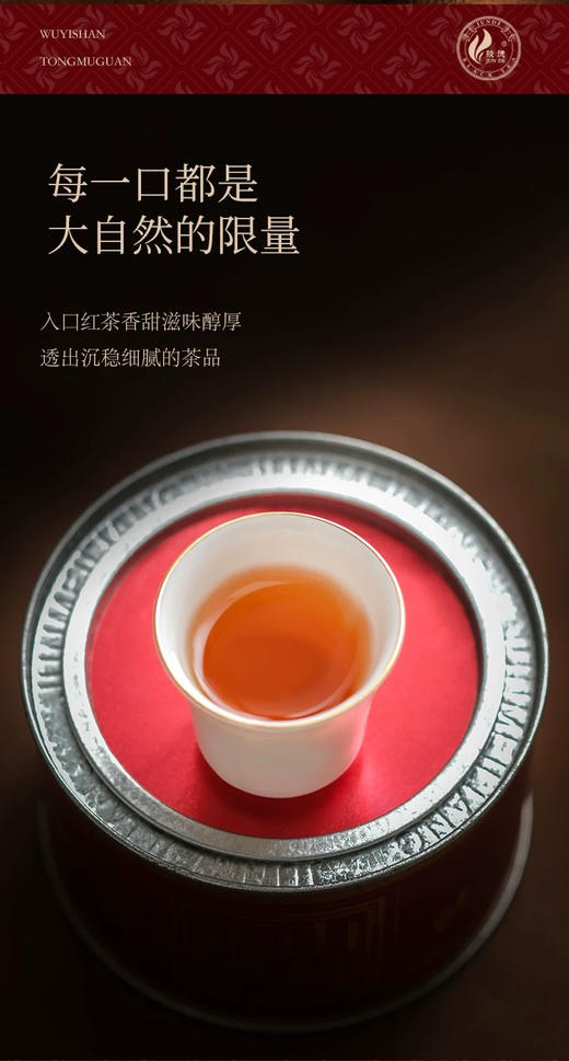 骏德茶业 武夷红茶茶叶桐木关正山小种桂圆汤松烟香二级250g礼盒 商品图4