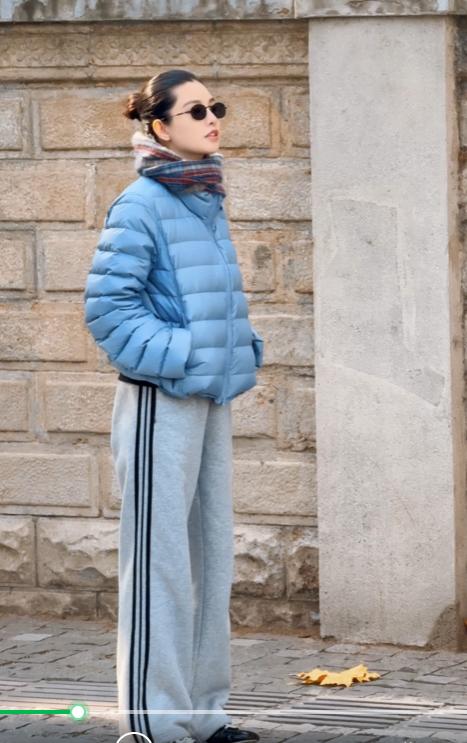 THESOONG"排骨羽绒"90白鹅绒7针间线保暖立领羽绒服HWYRF8287 商品图8