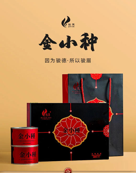 骏德茶业 武夷山红茶正山小种松烟香金小种100g 商品图0