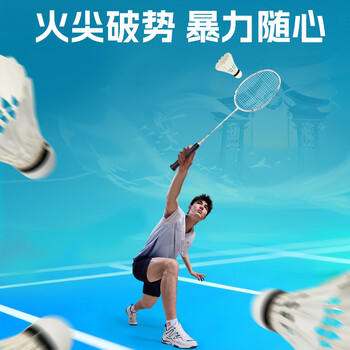 川崎羽毛球比赛训练耐打鹅毛球12个装哪吒9号球 商品图0