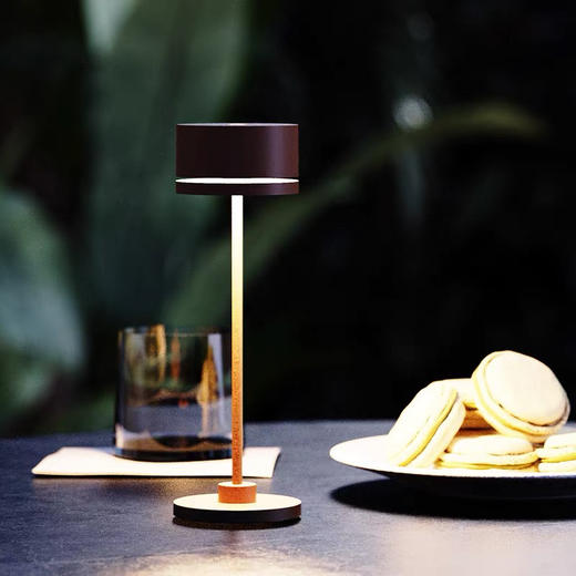 UBIQUA氛围台灯全铝装饰台灯酒吧餐厅客厅卧室书房触摸式充电台灯 商品图0