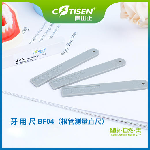 牙用尺BF04（根管测量直尺） 商品图0