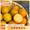 当季脆蜜金桔 脆甜多汁 带皮吃也不麻嘴 现摘直发顺丰包邮 商品缩略图0