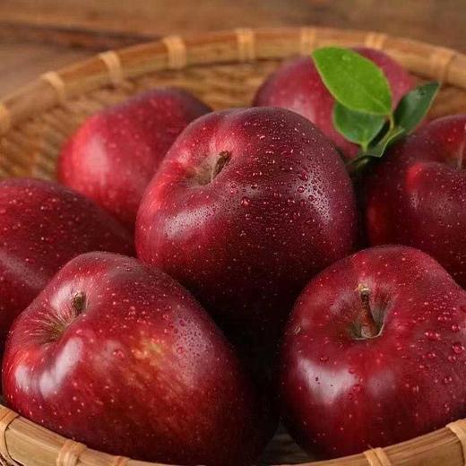 甘肃高原花牛苹果 净重3-8斤彩箱/礼盒装 商品图2