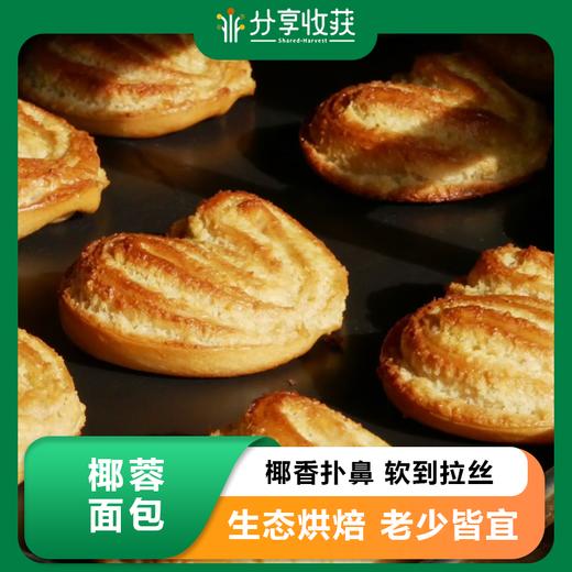 椰蓉面包 50g*6个 | 分享收获烘焙工作室 * Coconut bread 商品图0