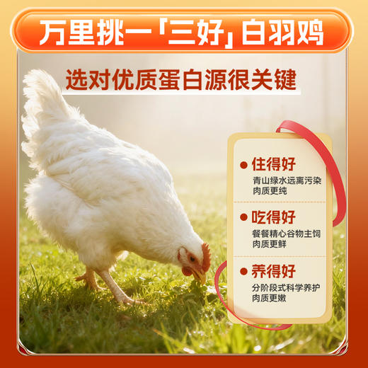 【袋鼠先生】卤香去皮鸡腿65g 卤香味/香辣味 商品图1