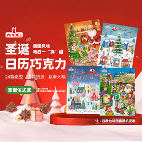 WINDEL 圣诞日历巧克力 德国原装进口 24款造型 4款包装图案随机发