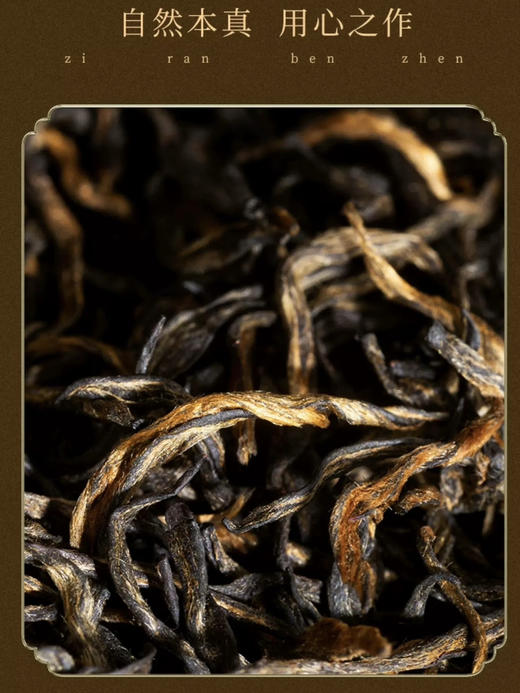 骏德茶业 武夷山红茶桐木关巨匠金骏眉63g 商品图1