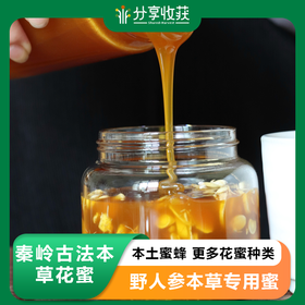 秦岭古法本草花蜜（野人参专用） | 合作生产 * Qinling Ancient Method Herbal Honey