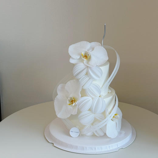 蝴蝶兰 H 商品图3