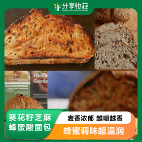 酸面包｜7天内发货｜分享收获烘焙工作室