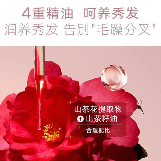 三生花精油香氛洗发露-纪念日百货门店同款168194603 商品图4