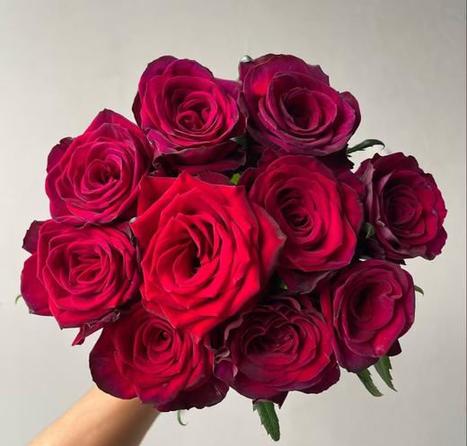 丽江基地 | 朱砂痣 商品图0