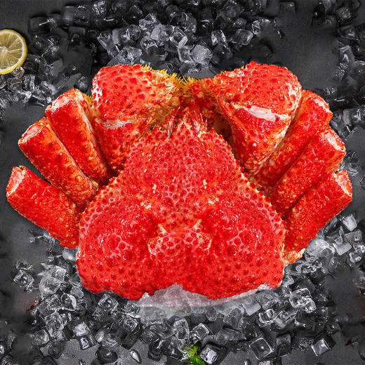 星龙港冷冻海鲜礼盒/马到功成3400g（注：冷冻生鲜类商品不退，质量问题只换） 商品图5