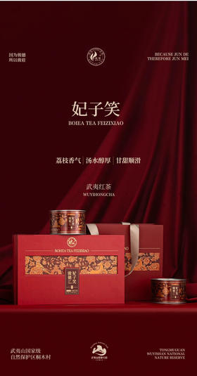 骏德茶业 武夷山红茶桐木关小种 妃子笑100g盒