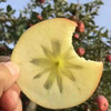 新疆阿克苏冰糖心苹果 净重4.5-8.5斤彩箱/礼盒装 商品缩略图6