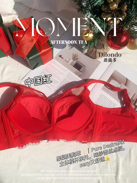 迪兰多立体厚模杯聚拢收副乳小胸显大饱满圆润2118475 商品图6